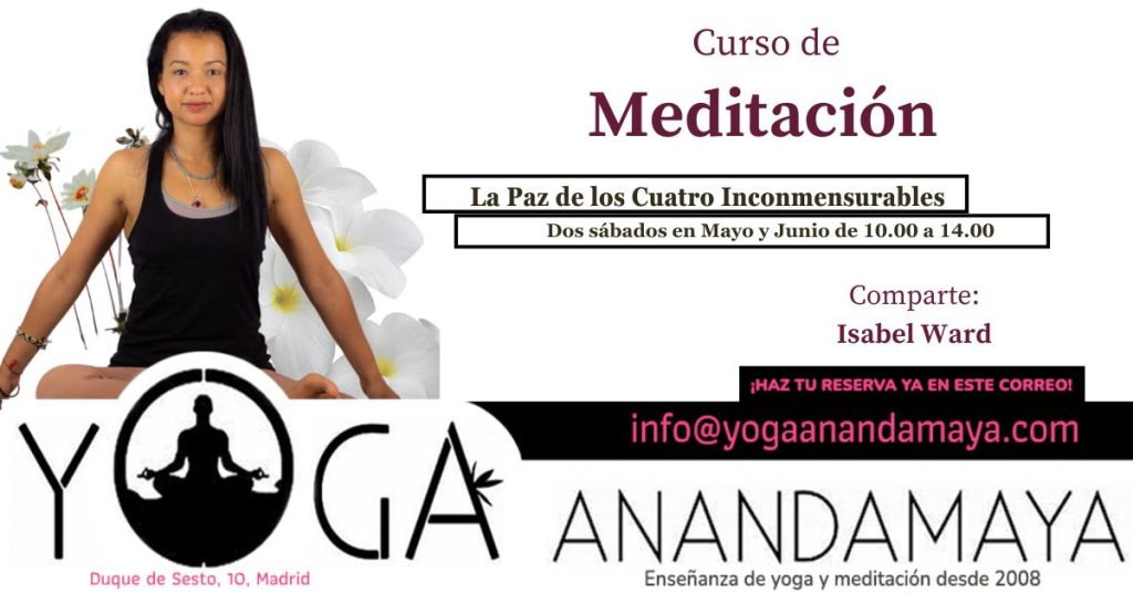 Curso de Meditación la Paz de los Cuatro Inconmensurables